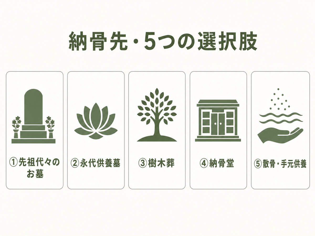 納骨先の5つの選択肢。①先祖代々のお墓②永代供養墓③樹木葬④納骨堂⑤散骨・手元供養、を横並びカードで一覧したフラット図解